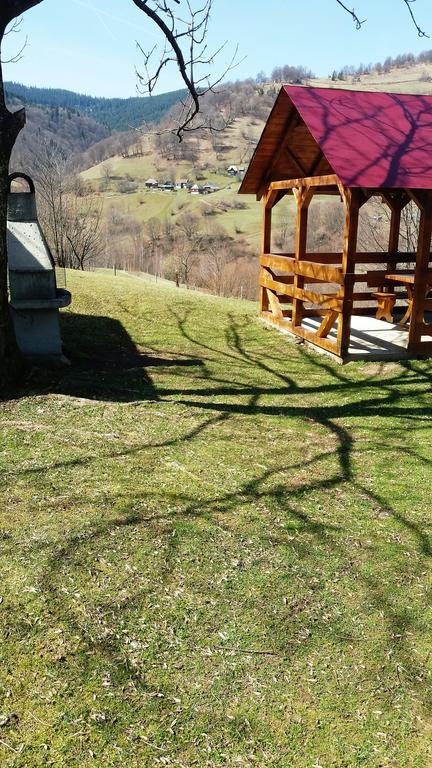 Cabana Bunicilor Rachitele Buitenkant foto