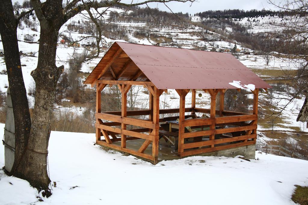 Cabana Bunicilor Rachitele Buitenkant foto